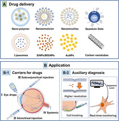 Frontiers Nanoparticles In Ocular Applications And Their Potential